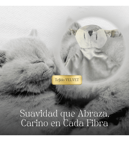 Pack de 2 chupones, Doudou personalizado y sujetachupón | Regalo único para bebé